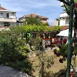 Kolevi 3*