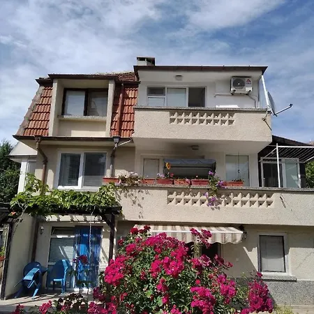 Kolevi 3* ロゼネッツ