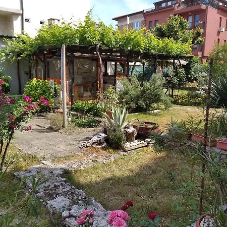 ゲストハウス Kolevi