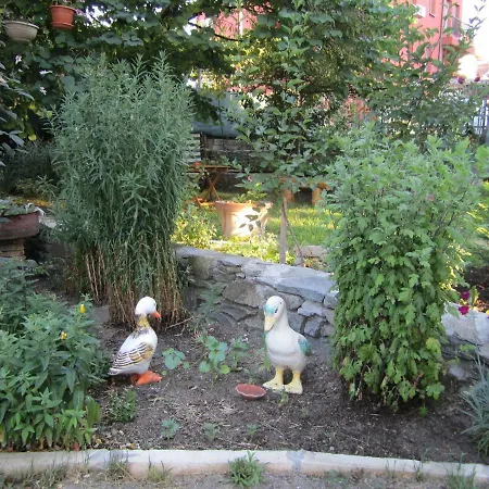 ゲストハウス Kolevi 3*