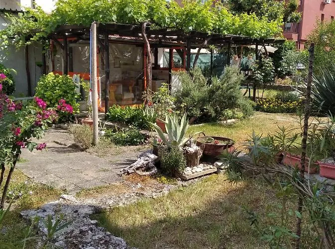 게스트하우스 Kolevi