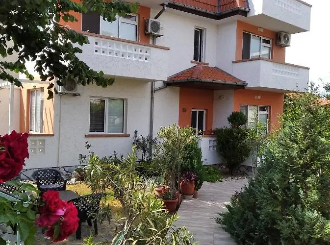 Kolevi 게스트하우스