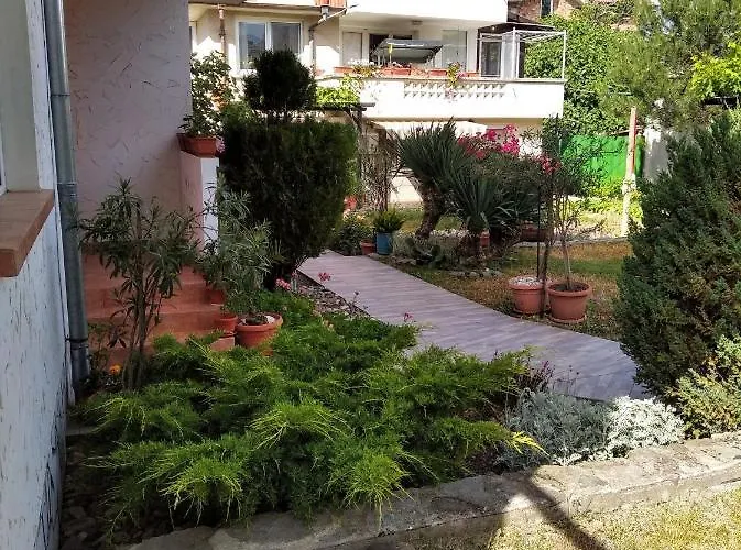 Kolevi 3* 로제넷츠