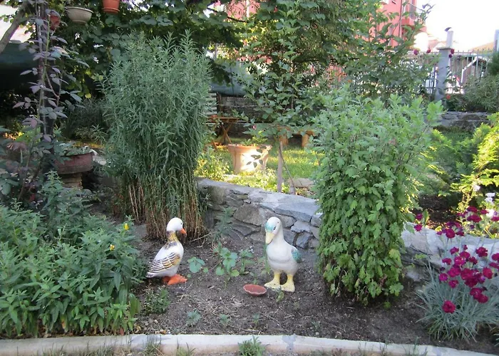 게스트하우스 Kolevi 3*