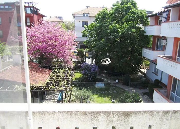 게스트하우스 Kolevi 3*